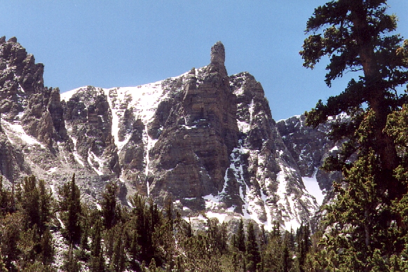 Wheeler Peak from Bristlecone Forest