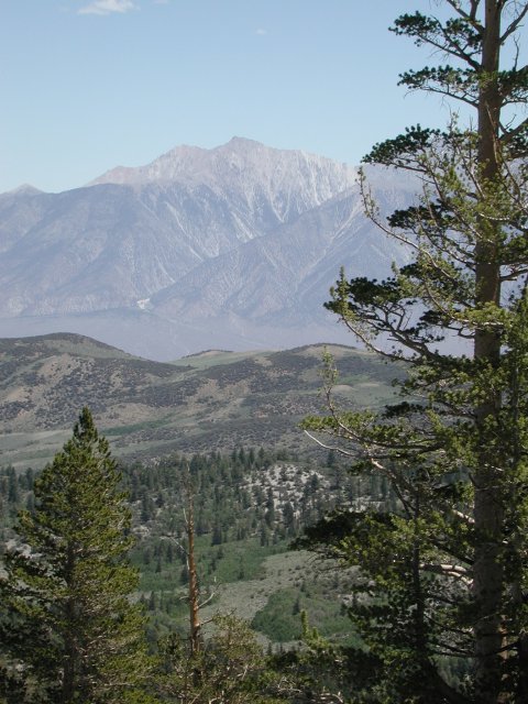 Boundary Peak and Mount Montgomery