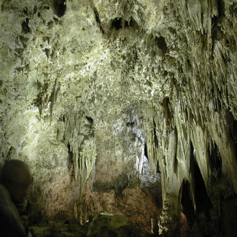 Curtain Formations in Carlsbad Caverns