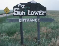 Mount Sunflower Sign